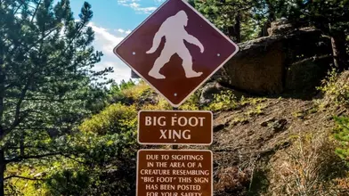 Bigfoot Discovered